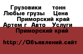 Грузовики 3-5 тонн.  Любые грузы. › Цена ­ 700 - Приморский край, Артем г. Авто » Услуги   . Приморский край